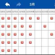 ヒメ日記 2025/03/19 08:20 投稿 花嶋りく Versailles