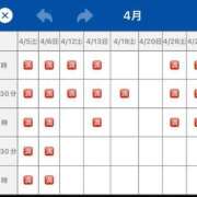 ヒメ日記 2025/04/11 01:09 投稿 花嶋りく Versailles