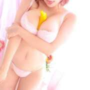 ヒメ日記 2025/04/24 08:19 投稿 花嶋りく Versailles