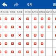 ヒメ日記 2025/05/19 14:21 投稿 花嶋りく Versailles