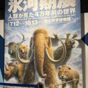 ヒメ日記 2025/09/26 07:11 投稿 花嶋りく Versailles