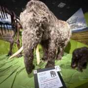 ヒメ日記 2025/09/26 07:51 投稿 花嶋りく Versailles