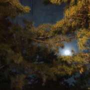 ヒメ日記 2025/10/12 22:47 投稿 花嶋りく Versailles