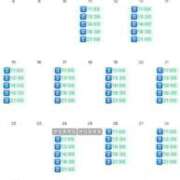 ヒメ日記 2025/11/11 23:11 投稿 花嶋りく Versailles