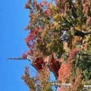 ヒメ日記 2024/12/15 15:37 投稿 さらん 神田エマニエル