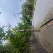 ヒメ日記 2025/06/20 17:39 投稿 さらん 神田エマニエル