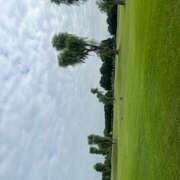 ヒメ日記 2025/07/13 15:45 投稿 さらん 神田エマニエル