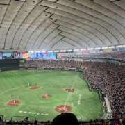 ヒメ日記 2025/09/10 18:38 投稿 さらん 神田エマニエル