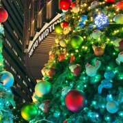 ヒメ日記 2025/11/16 20:00 投稿 さらん 神田エマニエル