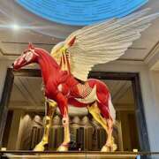 ヒメ日記 2025/11/24 16:33 投稿 さらん 神田エマニエル