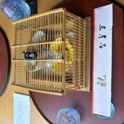 さらん 18：00出勤します。 神田エマニエル