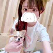 ヒメ日記 2025/10/02 12:51 投稿 来海えりか JKリフレ東京 秋葉原本店