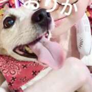 ヒメ日記 2025/08/16 11:52 投稿 おりか 熟女の風俗最終章 池袋店