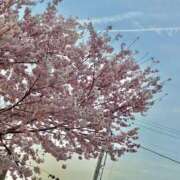 ヒメ日記 2026/03/24 23:04 投稿 おりか 熟女の風俗最終章 池袋店