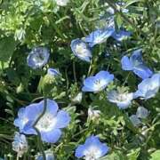 ヒメ日記 2025/05/09 16:19 投稿 名取（なとり） 熟女の風俗最終章 大宮店