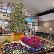 名取（なとり） 昨日は😋 熟女の風俗最終章 大宮店