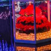 ヒメ日記 2025/12/18 16:05 投稿 名取（なとり） 熟女の風俗最終章 大宮店