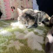 ヒメ日記 2026/02/22 15:35 投稿 名取（なとり） 熟女の風俗最終章 大宮店