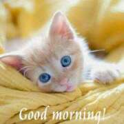 ヒメ日記 2025/03/28 11:09 投稿 まき 完熟ばなな札幌・すすきの