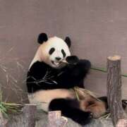 ヒメ日記 2025/04/30 23:20 投稿 みおり 奥様特急新潟店