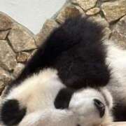 ヒメ日記 2025/06/09 22:16 投稿 みおり 奥様特急新潟店