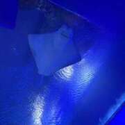 ヒメ日記 2026/06/10 16:40 投稿 みおり 奥様特急新潟店