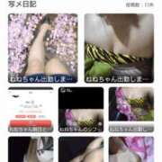 ヒメ日記 2025/11/21 13:43 投稿 ねね G-SCANDAL