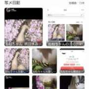 ヒメ日記 2025/11/27 00:00 投稿 ねね G-SCANDAL