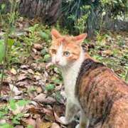 ヒメ日記 2025/06/15 13:31 投稿 みさこ 奥鉄オクテツ東京店（デリヘル市場）