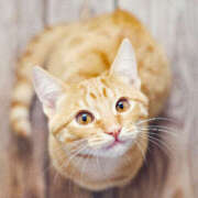 みさこ ※無題 奥鉄オクテツ東京店（デリヘル市場）