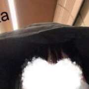 ヒメ日記 2026/03/22 09:38 投稿 ほのか 府中ダービー