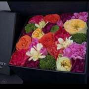 ヒメ日記 2025/02/19 08:31 投稿 佐々波エヴァ Mrs. Dandy