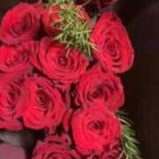 ヒメ日記 2025/02/26 17:56 投稿 佐々波エヴァ Mrs. Dandy