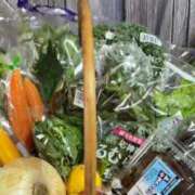 ヒメ日記 2025/04/19 17:23 投稿 佐々波エヴァ Mrs. Dandy