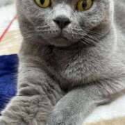 ヒメ日記 2024/12/10 22:16 投稿 まきこ 奥様の実話 梅田店