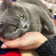 ヒメ日記 2024/12/14 20:05 投稿 まきこ 奥様の実話 梅田店