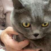 ヒメ日記 2024/12/15 18:52 投稿 まきこ 奥様の実話 梅田店