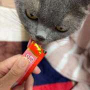 ヒメ日記 2024/12/16 21:59 投稿 まきこ 奥様の実話 梅田店