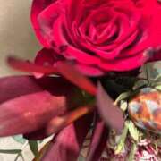 ヒメ日記 2024/12/18 19:46 投稿 まきこ 奥様の実話 梅田店