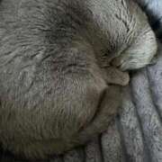 ヒメ日記 2024/12/20 23:30 投稿 まきこ 奥様の実話 梅田店