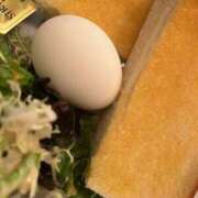 ヒメ日記 2024/12/21 08:02 投稿 まきこ 奥様の実話 梅田店