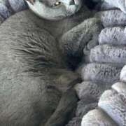 ヒメ日記 2024/12/22 22:10 投稿 まきこ 奥様の実話 梅田店