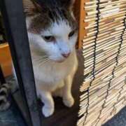 ヒメ日記 2024/12/23 19:11 投稿 まきこ 奥様の実話 梅田店