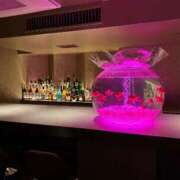 ヒメ日記 2024/12/23 19:23 投稿 まきこ 奥様の実話 梅田店