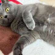 ヒメ日記 2024/12/23 21:10 投稿 まきこ 奥様の実話 梅田店