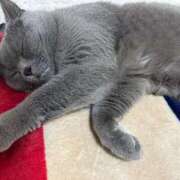 ヒメ日記 2024/12/25 20:23 投稿 まきこ 奥様の実話 梅田店