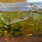 ヒメ日記 2024/12/26 15:07 投稿 まきこ 奥様の実話 梅田店