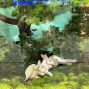 ヒメ日記 2024/12/29 10:26 投稿 まきこ 奥様の実話 梅田店