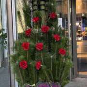 ヒメ日記 2024/12/29 19:02 投稿 まきこ 奥様の実話 梅田店