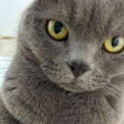 ヒメ日記 2024/12/29 20:15 投稿 まきこ 奥様の実話 梅田店